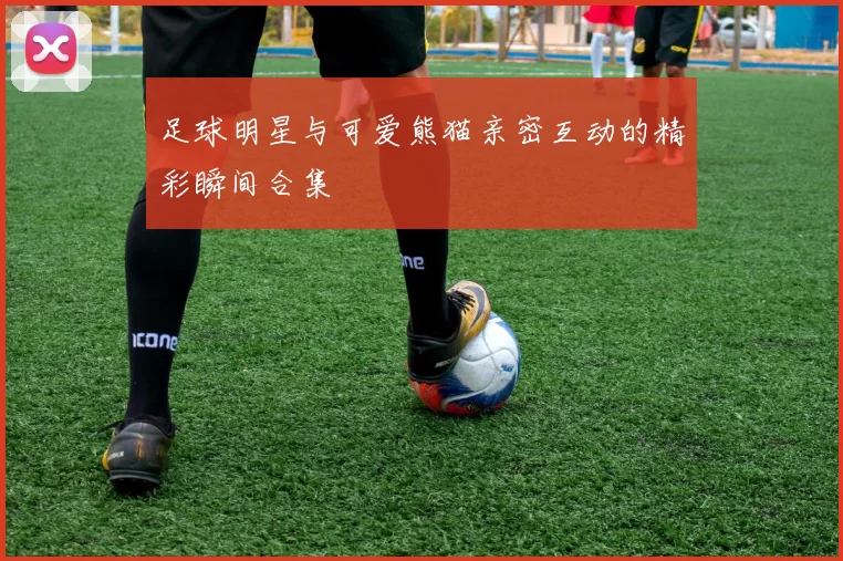 足球明星与可爱熊猫亲密互动的精彩瞬间合集