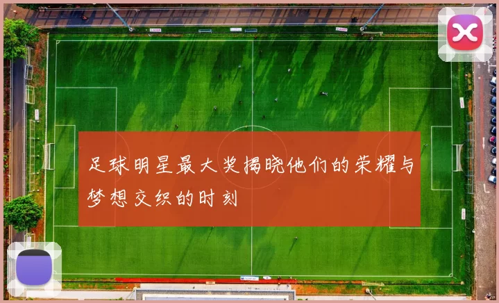 足球明星最大奖揭晓他们的荣耀与梦想交织的时刻