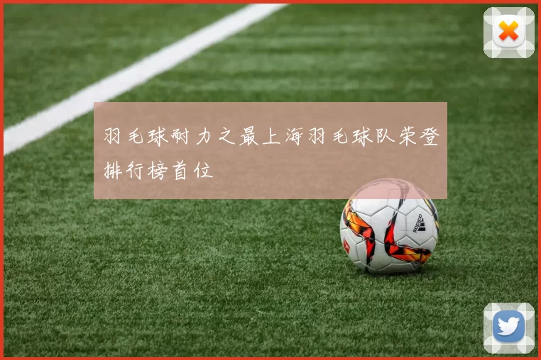 羽毛球耐力之最上海羽毛球队荣登排行榜首位