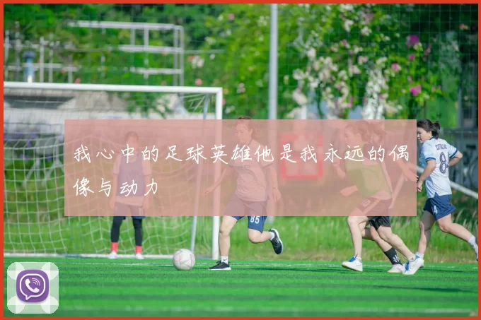 我心中的足球英雄他是我永远的偶像与动力