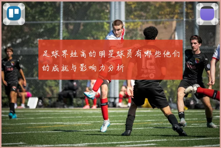 足球界姓高的明星球员有哪些他们的成就与影响力分析
