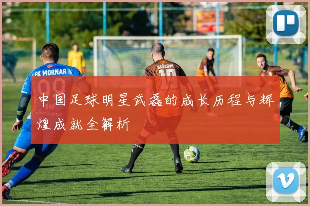 中国足球明星武磊的成长历程与辉煌成就全解析