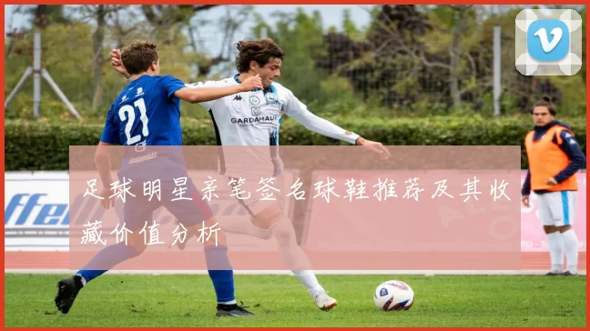 足球明星亲笔签名球鞋推荐及其收藏价值分析