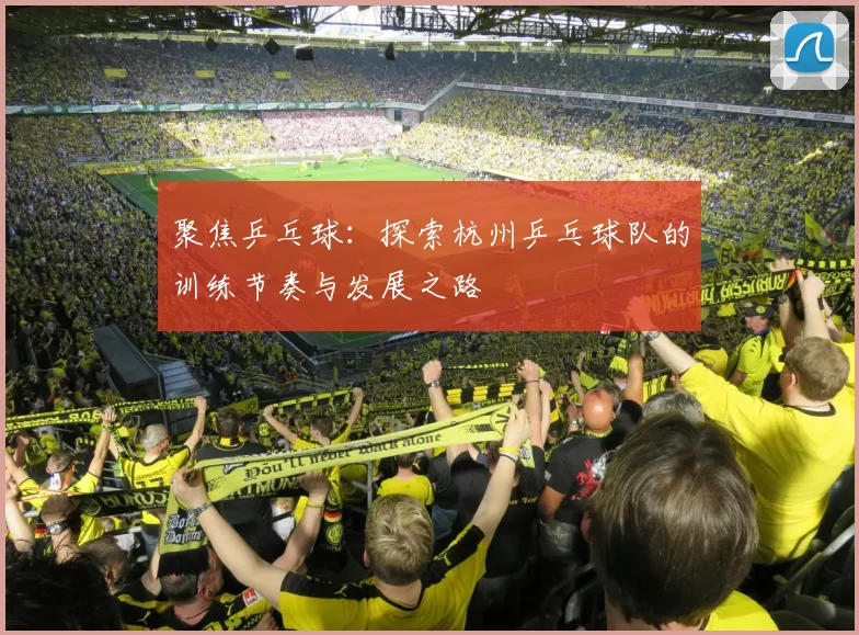 聚焦乒乓球：探索杭州乒乓球队的训练节奏与发展之路