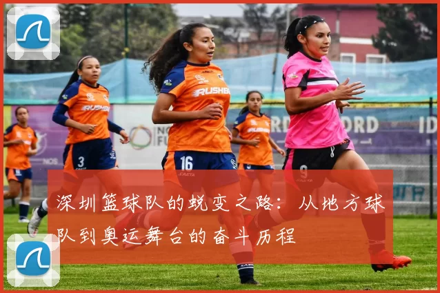 深圳篮球队的蜕变之路：从地方球队到奥运舞台的奋斗历程