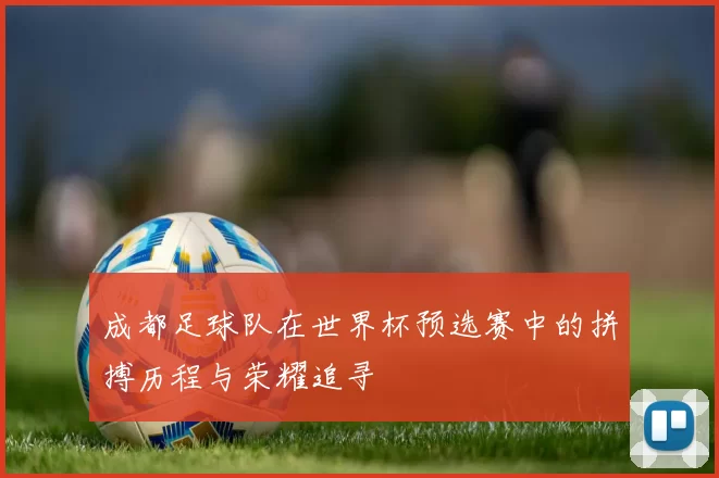 成都足球队在世界杯预选赛中的拼搏历程与荣耀追寻