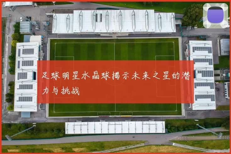 足球明星水晶球揭示未来之星的潜力与挑战