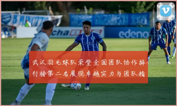 武汉羽毛球队荣登全国团队协作排行榜第二名展现卓越实力与团队精神