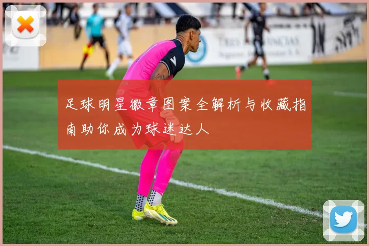 足球明星徽章图案全解析与收藏指南助你成为球迷达人